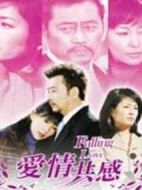 愛情共感劇情介紹(1-24全集)