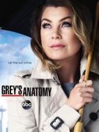 實(shí)習(xí)醫(yī)生格蕾第十二季劇情介紹(1-24全集)