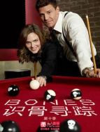 識(shí)骨尋蹤第十季