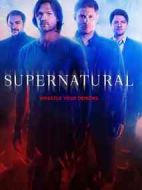 邪惡力量第十季