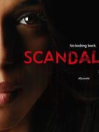 丑聞第四季劇情介紹(1-22全集)