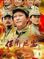 保衛(wèi)延安劇情介紹(1-28全集)