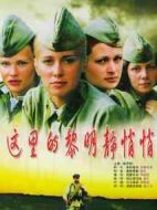 這里的黎明靜悄悄