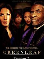 綠葉第二季劇情介紹(1-16全集)