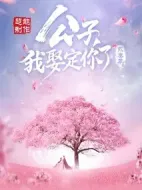 公子，我娶定你了3劇情介紹(1-12全集)