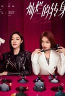 燦爛的轉(zhuǎn)身劇情介紹(1-20全集)