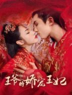 王爺?shù)膵蓪櫷蹂鷦∏榻榻B(1-18全集)