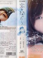 開窗以后劇情介紹(1-1全集)