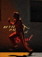 風(fēng)騷律師第五季劇情介紹(1-10全集)