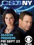 犯罪現(xiàn)場調(diào)查：紐約第八季劇情介紹(1-18全集)