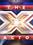 英國(guó)偶像第八季