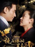 桃花依舊笑春風(fēng)劇情介紹(1-60全集)