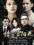 情滿雪陽花劇情介紹(1-46全集)