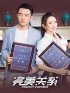 完美關(guān)系DVD版海報