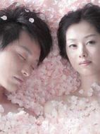 櫻花心中劇情介紹(1-63全集)