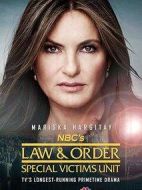 法律與秩序：特殊受害者第二十一季劇情介紹(1-24全集)