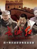 長城紅劇情介紹(1-36全集)