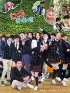 紅色青橄欖DVD劇情介紹(1-26全集)