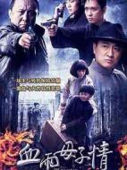 血雨母子情劇情介紹(1-32全集)