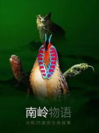 南嶺物語劇情介紹(1-3全集)