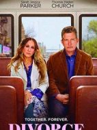 離婚第三季劇情介紹(1-6全集)