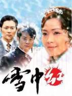雪中紅劇情介紹(1-49全集)