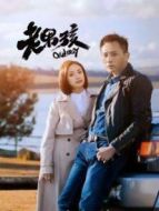 老男孩DVD版劇情介紹(1-45全集)