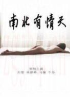 南北有情天劇情介紹(1-16全集)