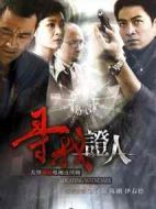 尋找證人劇情介紹(1-28全集)