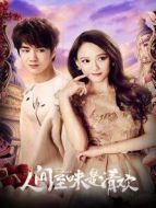 人間至味是清歡 DVD版