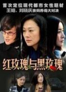 紅玫瑰與黑玫瑰劇情介紹(1-31全集)