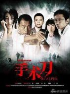 手術(shù)刀劇情介紹(1-22全集)