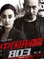 中國(guó)刑警803英雄本色