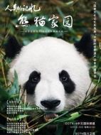 熊貓家園劇情介紹(1-全集)
