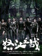 怒江之戰(zhàn)劇情介紹(1-43全集)