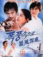 走向暴風(fēng)雨劇情介紹(1-34全集)