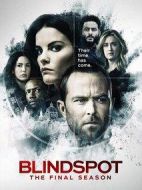 盲點第五季劇情介紹(1-11全集)