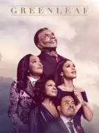 綠葉第五季劇情介紹(1-0全集)