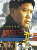 阿郎在北京劇情介紹(1-30全集)