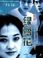 綠蘿花劇情介紹(1-25全集)