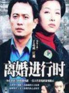 離婚進(jìn)行時(shí)