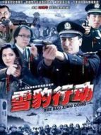 雪豹行動劇情介紹(1-26全集)