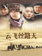 云飛絲路天劇情介紹(1-42全集)