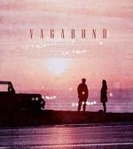 浪客行劇情介紹(1-16全集)