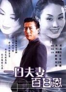 一日夫妻百日恩（高曙光版）劇情介紹(1-20全集)