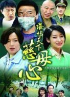 誰憐天下慈母心劇情介紹(1-23全集)