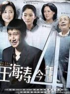 王海濤今年四十一劇情介紹(1-28全集)