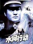 水網(wǎng)行動(dòng)劇情介紹(1-19全集)