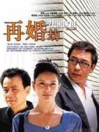 再婚劫劇情介紹(1-30全集)