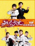 旋風少女 VIP青春典藏版